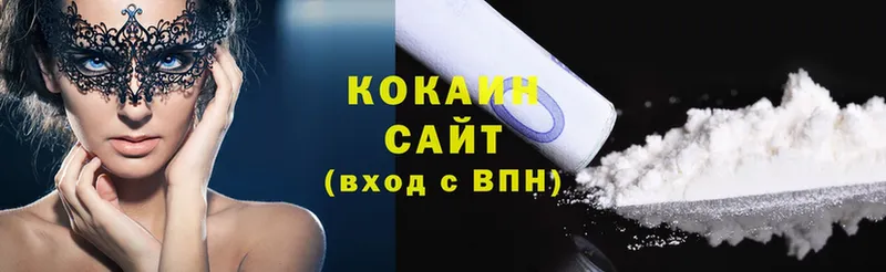 COCAIN Fish Scale  MEGA ссылки  Нижняя Тура  где можно купить  