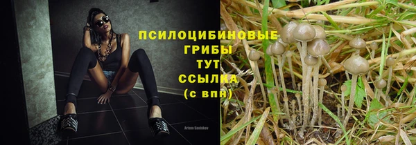 стафф Михайловск