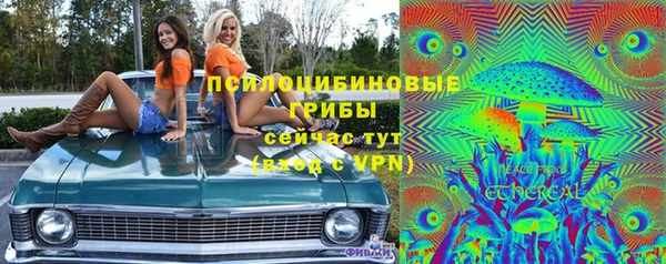 стафф Михайловск