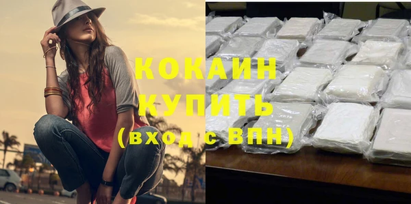 трава Наволоки