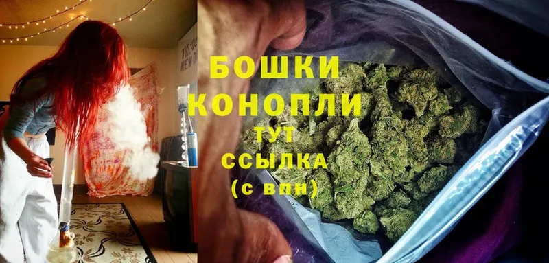 Бошки марихуана OG Kush  Нижняя Тура 